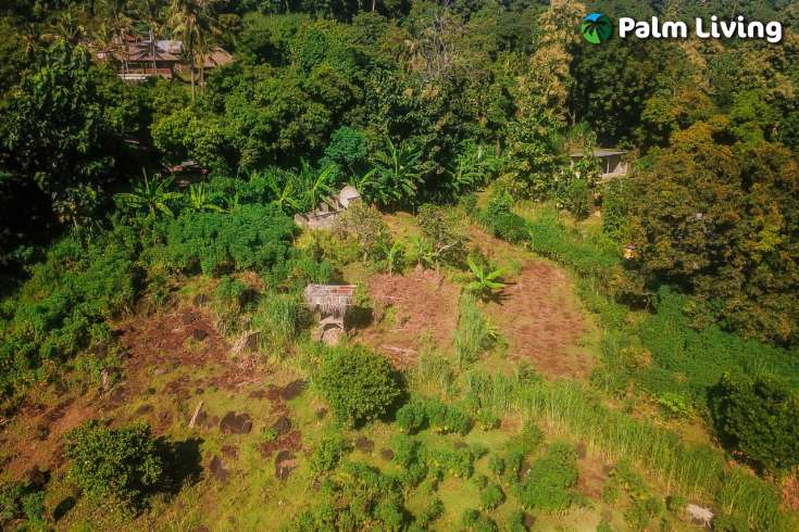 Hillside Land close to Central Lovina