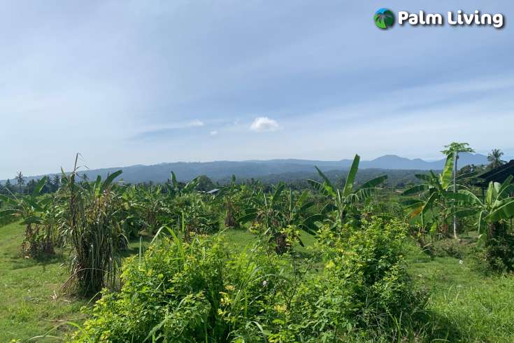 Plot for Sale with Mountain Views