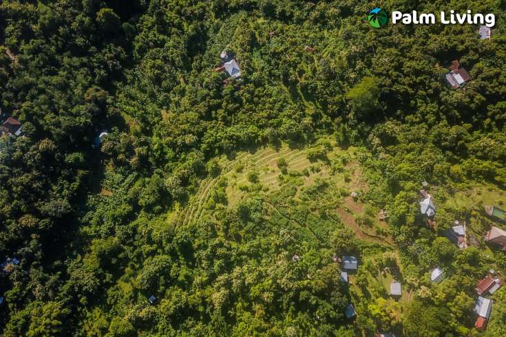 Hillside Land close to Central Lovina