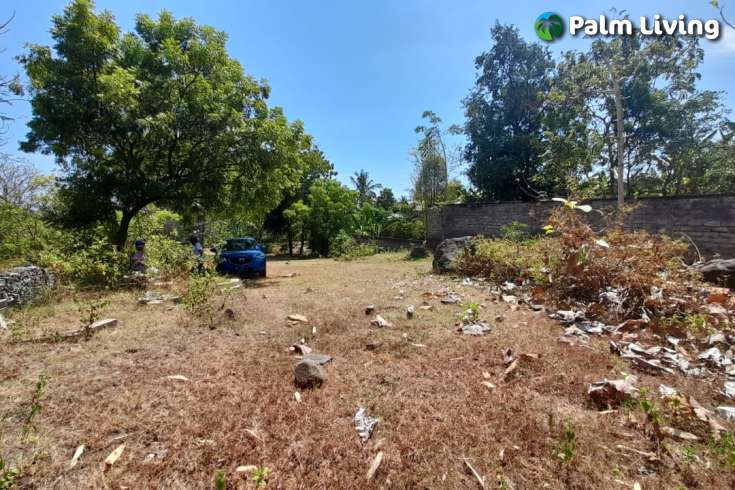 Unique land plot close to central Lovina