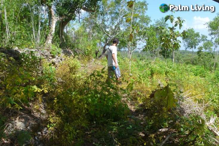 Nusa Penida Bali - Land For Sale