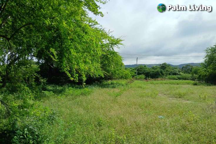 Two Vast Beachfront Plots for Sale in Londolima