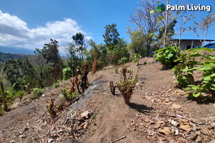Hillside Land For Sale, North Bali