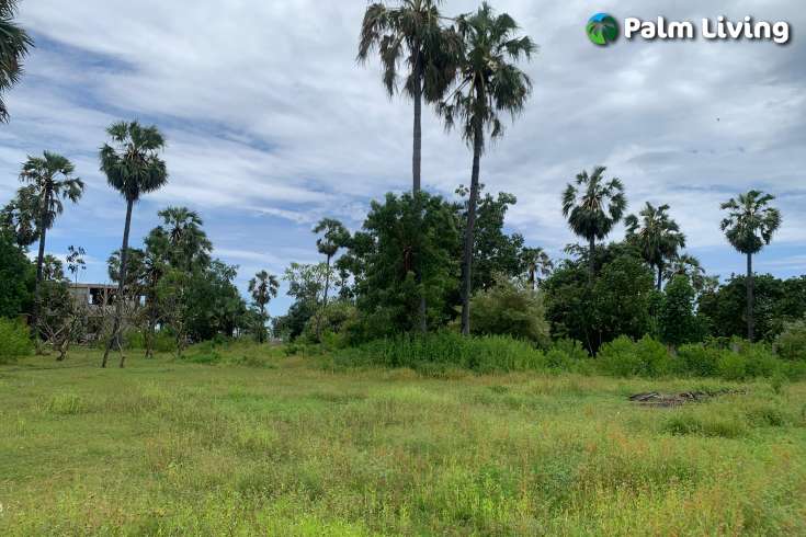 Land in Pemuteran for Leasehold