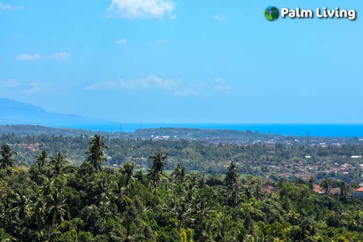 Hillside Land  in Dencarik North Bali