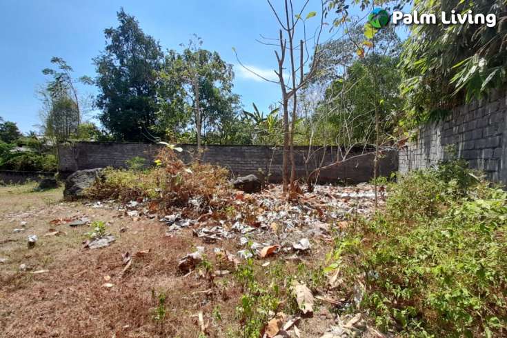 Unique land plot close to central Lovina