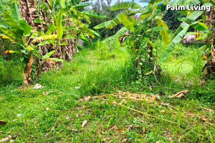 Prime Land in Kaliasem for Sale