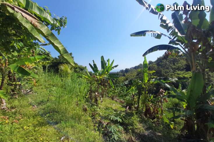 5490m2 of Land for Sale in Kayuputih