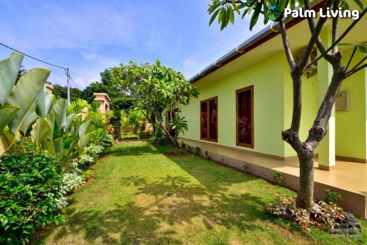 Large Villa In Rice Paddies