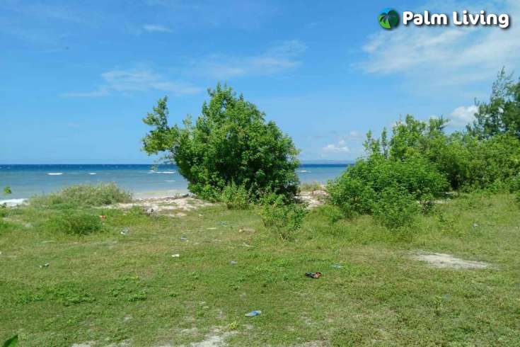 Two Vast Beachfront Plots for Sale in Londolima