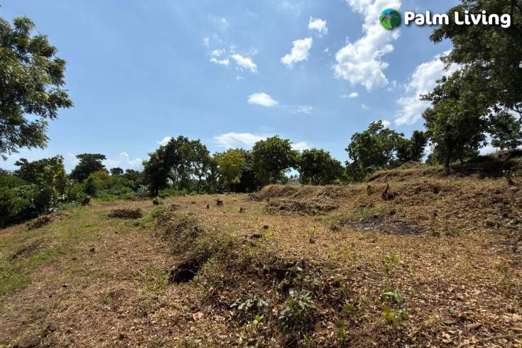 Ocean View Land for Sale in Pacung, North Bali