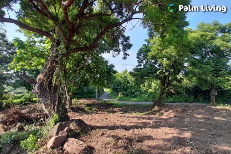 Panoramic Land for sale in Umeanyar