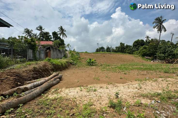 Freehold land for sale in Central Lovina