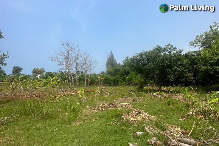 Dencarik Plot Close to The Beach