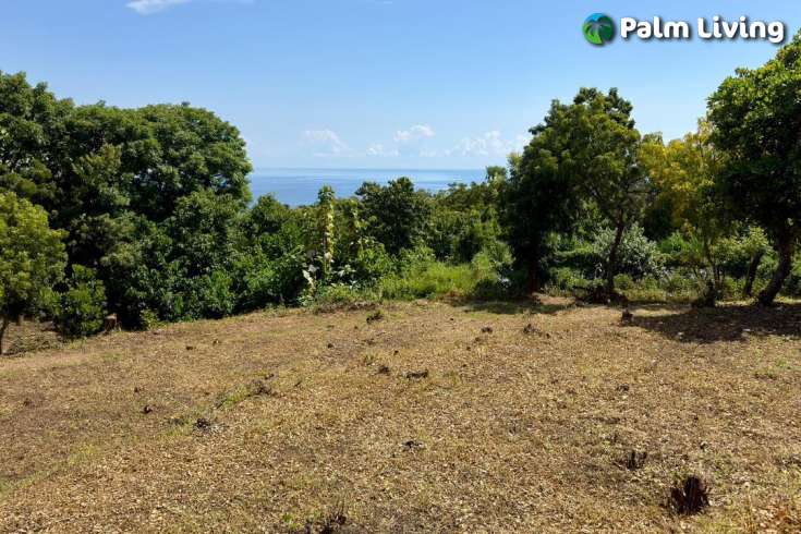 Ocean View Land for Sale in Pacung, North Bali