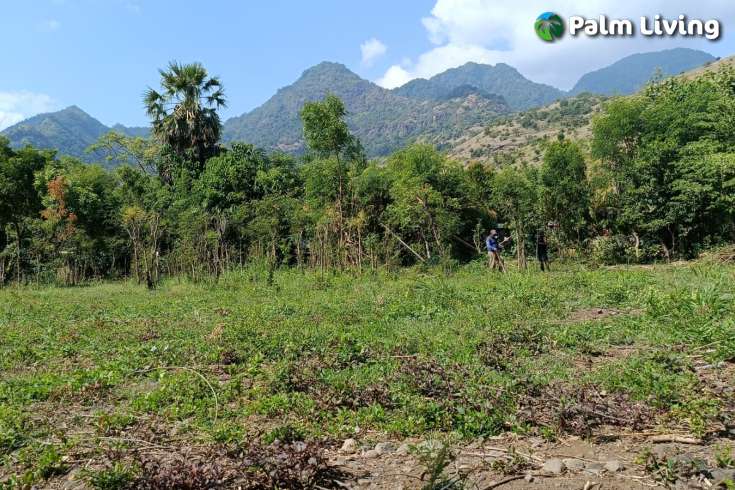 Freehold Land for sale in Pemuteran