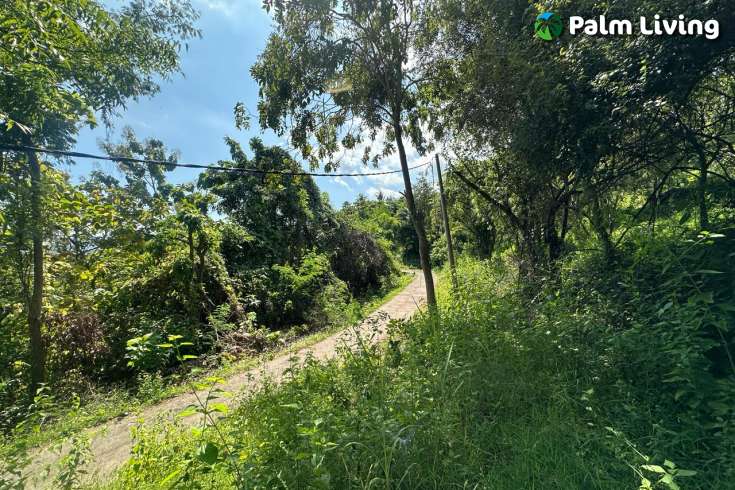 Elevated Big Plot in Kaliasem for Sale