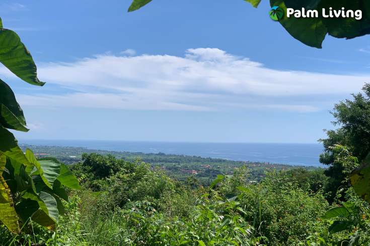 Land for sale in Dencarik Hill, Lovina