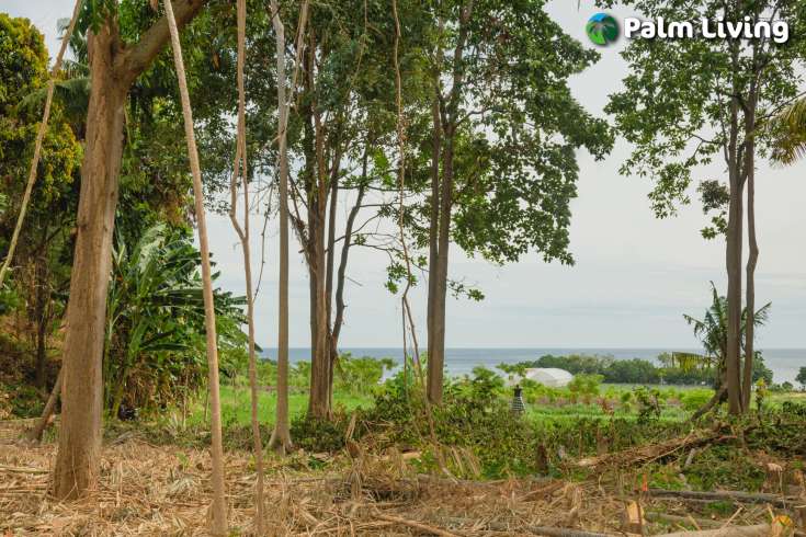 Land with Panoramic Views in Umeanyar