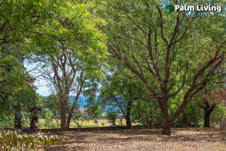 7700m2 plot in tranquil Umeanyar