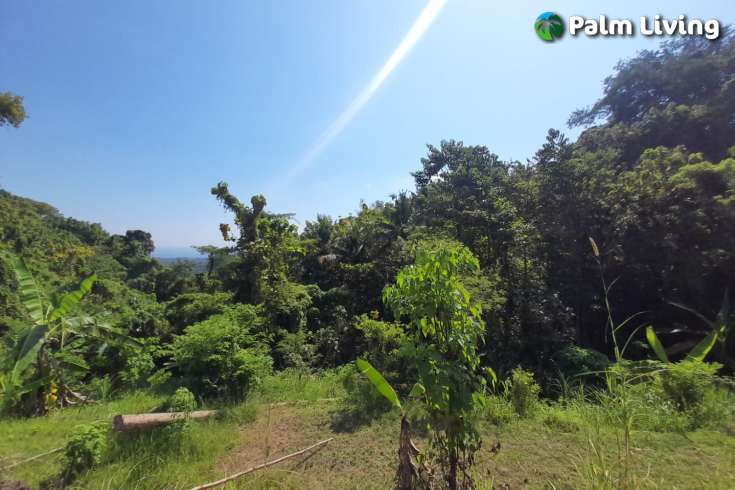 5490m2 of Land for Sale in Kayuputih