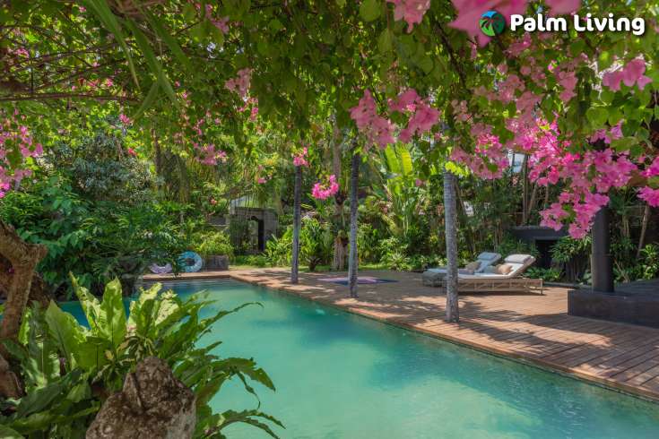 Absolute Beachfront Villa - Center Lovina