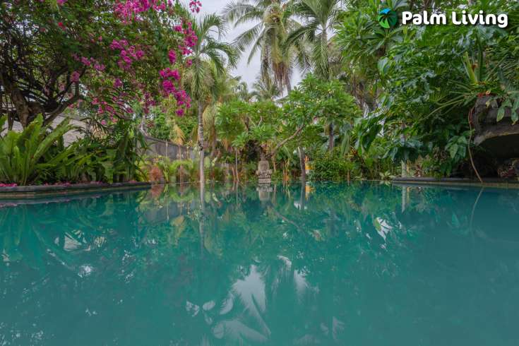 Absolute Beachfront Villa - Center Lovina