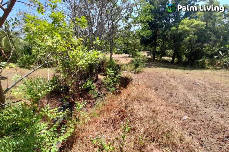 Unique land plot close to central Lovina