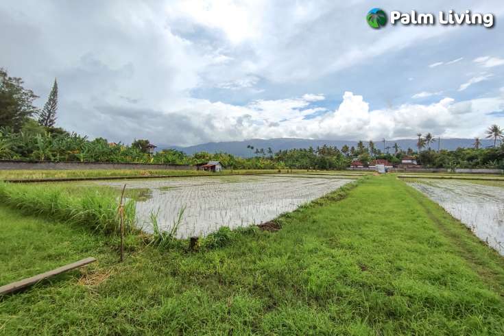 Huge Plot of Land for Sale In Lovina