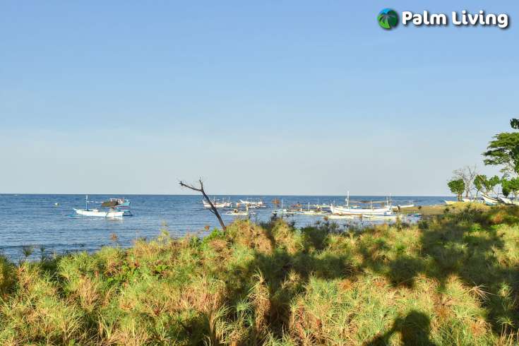 Beachfront Land In Sumberkima Bali