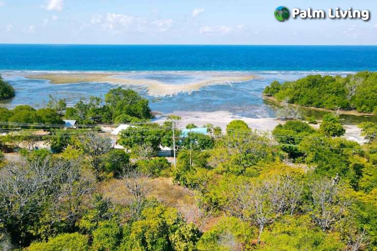 Huge Beachfront Land in Hamba Praing Sumba