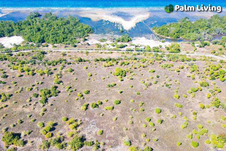 Huge Beachfront Land in Hamba Praing Sumba