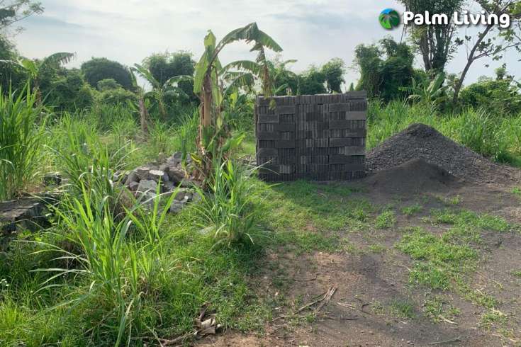 Ready to Build: A Plot Close to Lovina