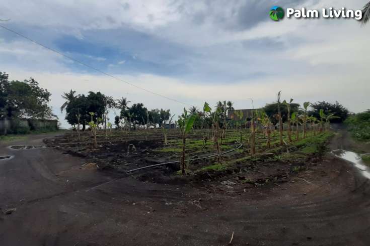 Beachfront Land In Brongbong 5350m2