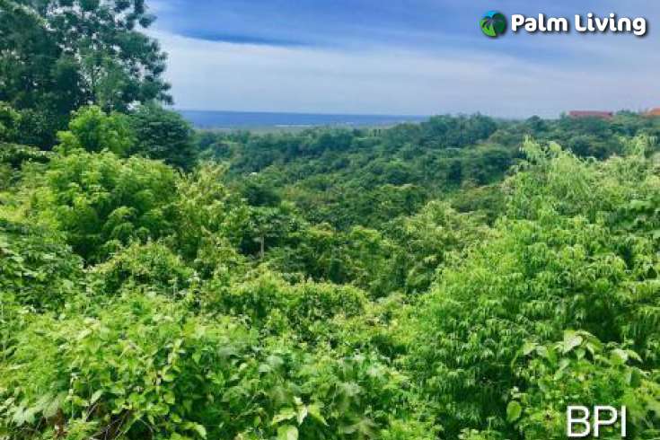 Kayuputih Land For Sale - Bali