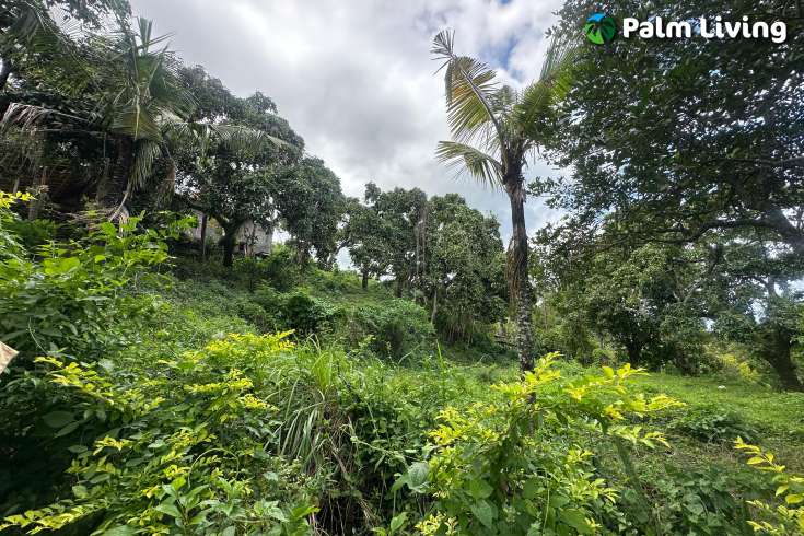Land Hillside Kayuputih for Sale