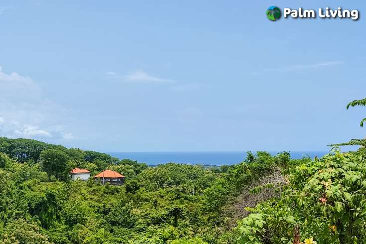 Prime Sized Hillside Land