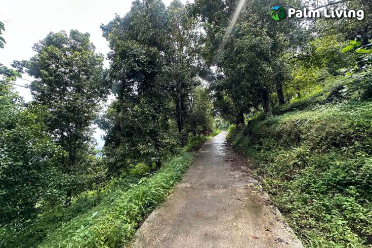 Land For Sale in Panji with Beautiful Sea View