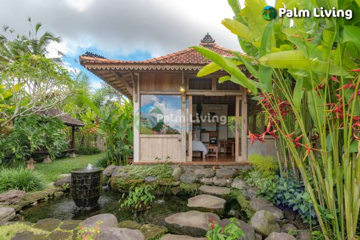 Guesthouse for Sale in Rice Fields