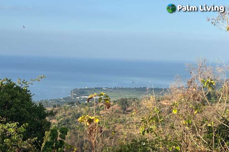 Cempaga Hillside Plot For Sale