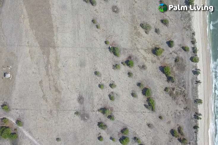 Seaside Prime Land near Wera Beach for Sale