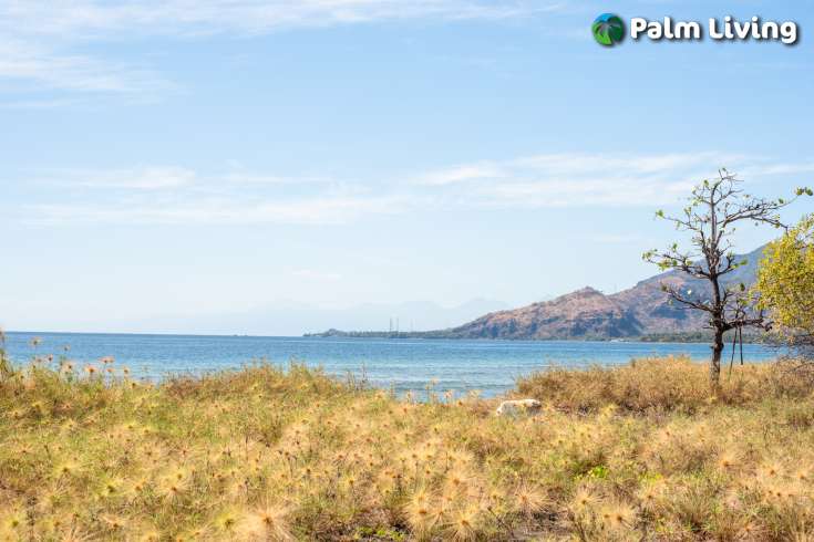 Stunning Seaview land for sale in Pemuteran
