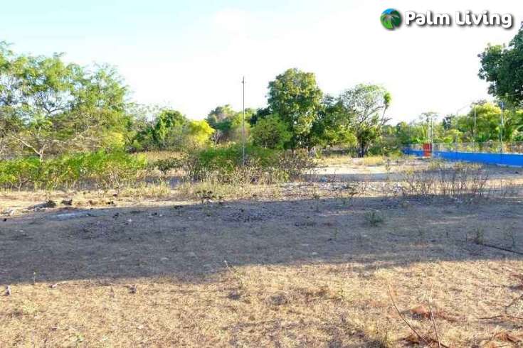 Beachfront Plots for Sale in Mondu