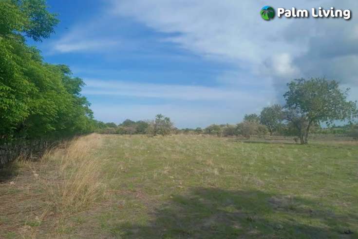 Tranquil Land For Sale in Sumba