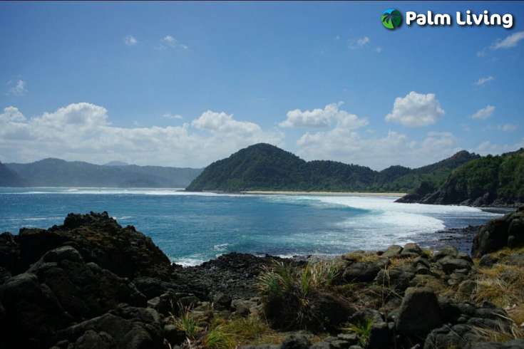 Attractive Land in South Lombok for Sale