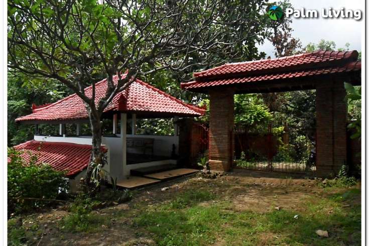 Kayuputih Land For Sale - Bali