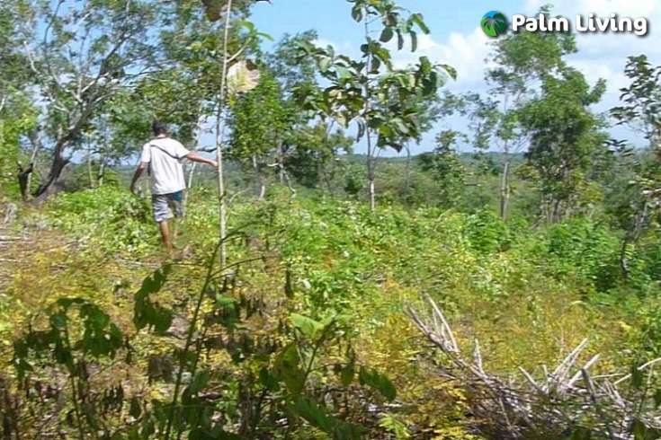 Nusa Penida Bali - Land For Sale