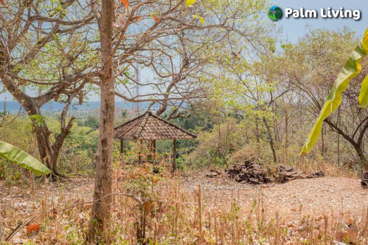 Perfect Land Plot close to Central Lovina