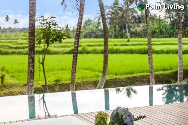 Brand New and Modern Villa for Sale in Ubud