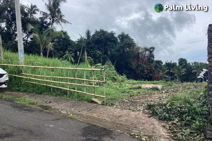Panoramic Land for Sale in Kayuputih